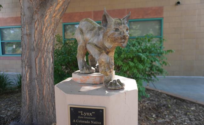 bronze statue of the school mascot: a lynx