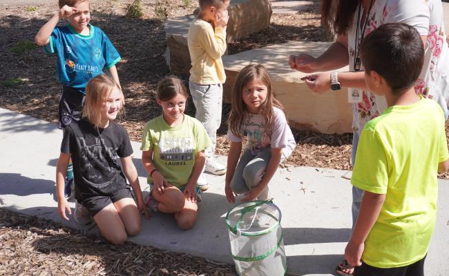 Students releasing their class butterfly