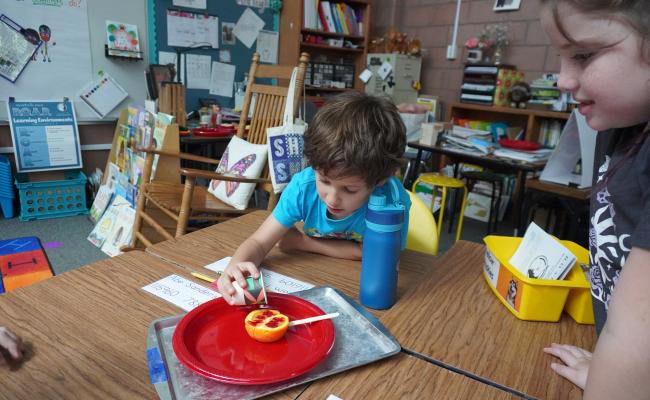 Students doing a science experiment